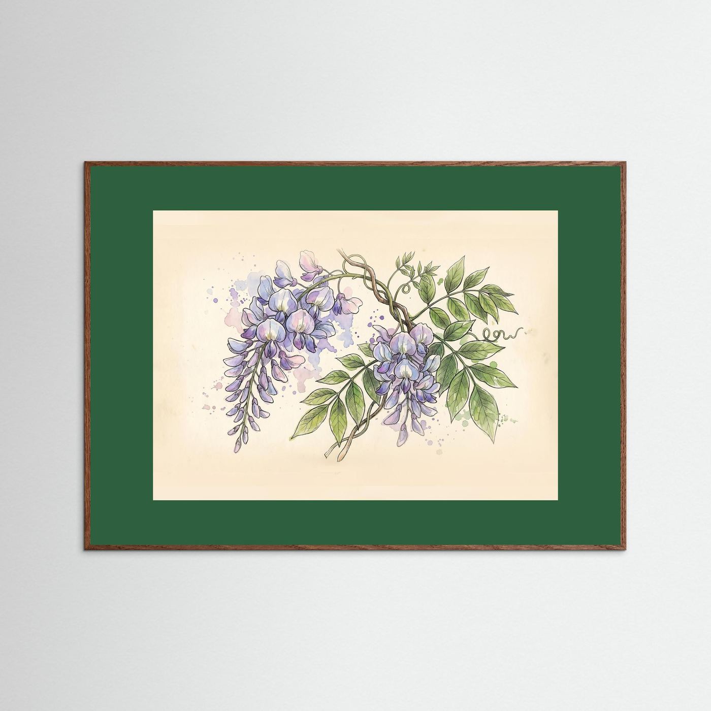 Wisteria / Botanical Print